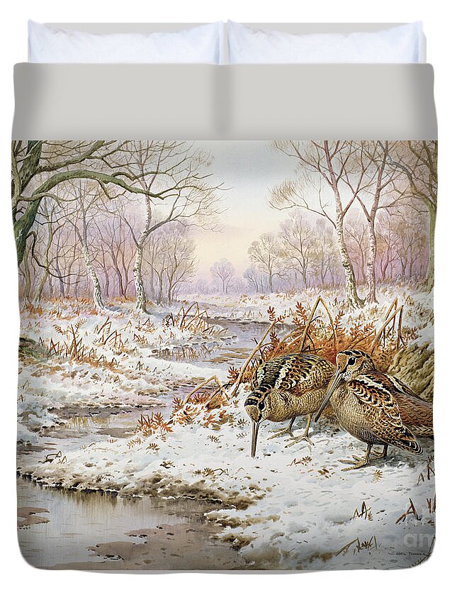 Woodcock Duvet Cover featuring the painting Woodcock by Carl Donner