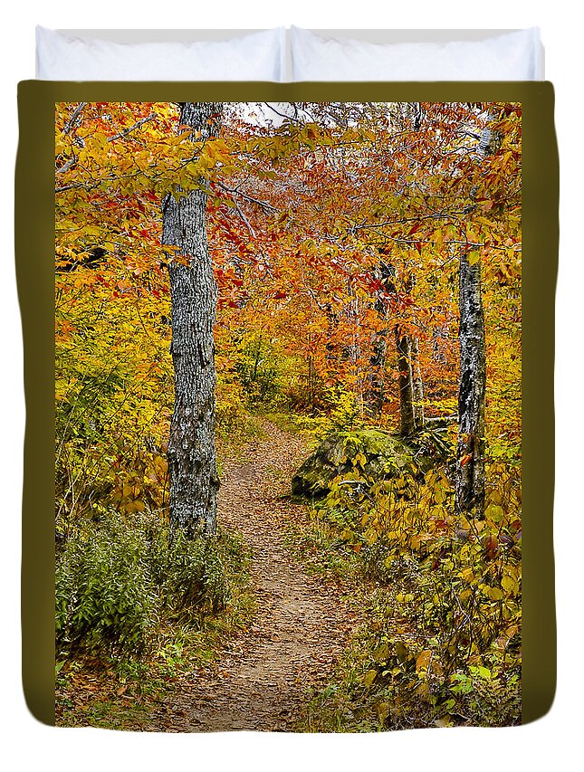 Landscape Duvet Cover featuring the photograph Woodland Autumn Trail by Vance Bell