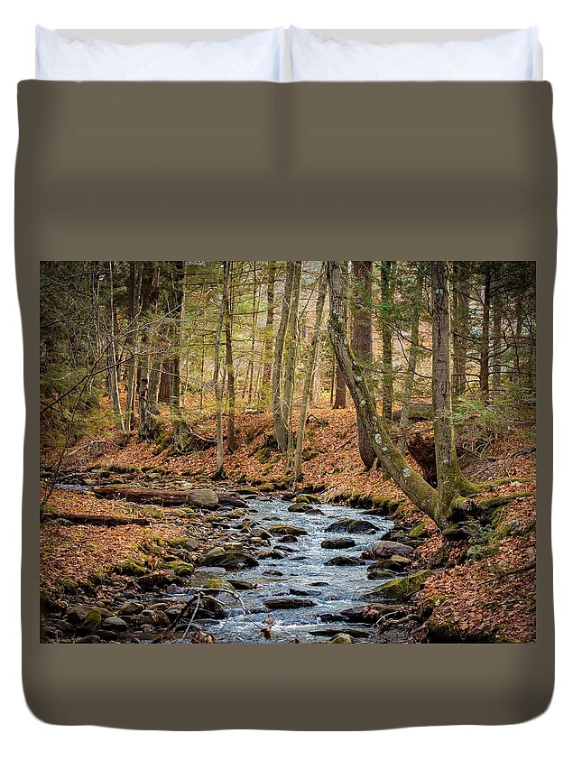2015 Duvet Cover featuring the photograph Woodland Brook by Richard Goldman