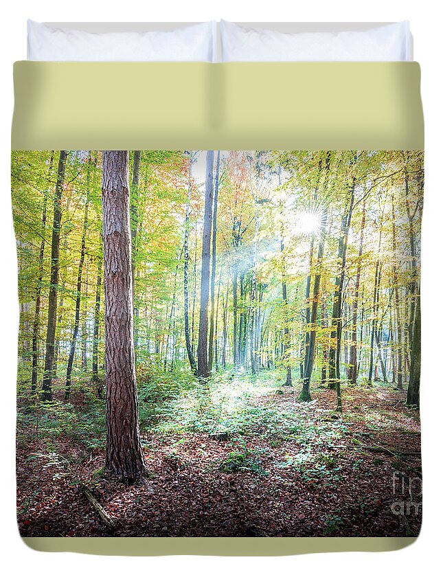 Autumn Duvet Cover featuring the photograph Woodland In Fall by Hannes Cmarits