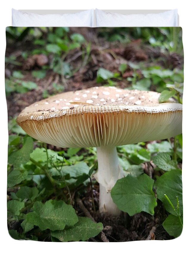 Mushroom Duvet Cover featuring the photograph Woodland Treasure by Lisa Debaets