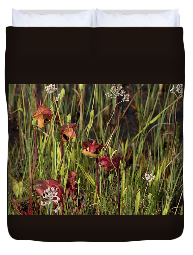 Grass Duvet Cover featuring the photograph Woodlands NJ-Webb-Mills-Bog by Louis Dallara