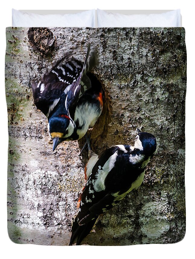 Mr And Mrs Woodpecker Duvet Cover featuring the photograph Woodpeckers by Torbjorn Swenelius