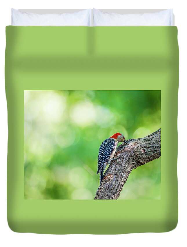 Bird Duvet Cover featuring the photograph Woody by Cathy Kovarik