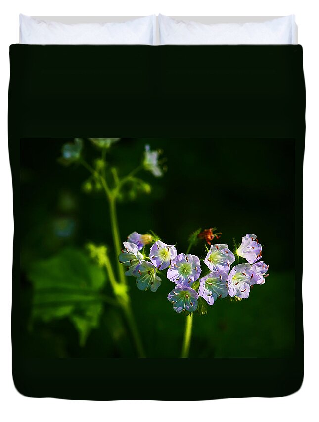 Woolen Breeches Duvet Cover featuring the photograph Woolen Breeches in Lost Valley by Michael Dougherty