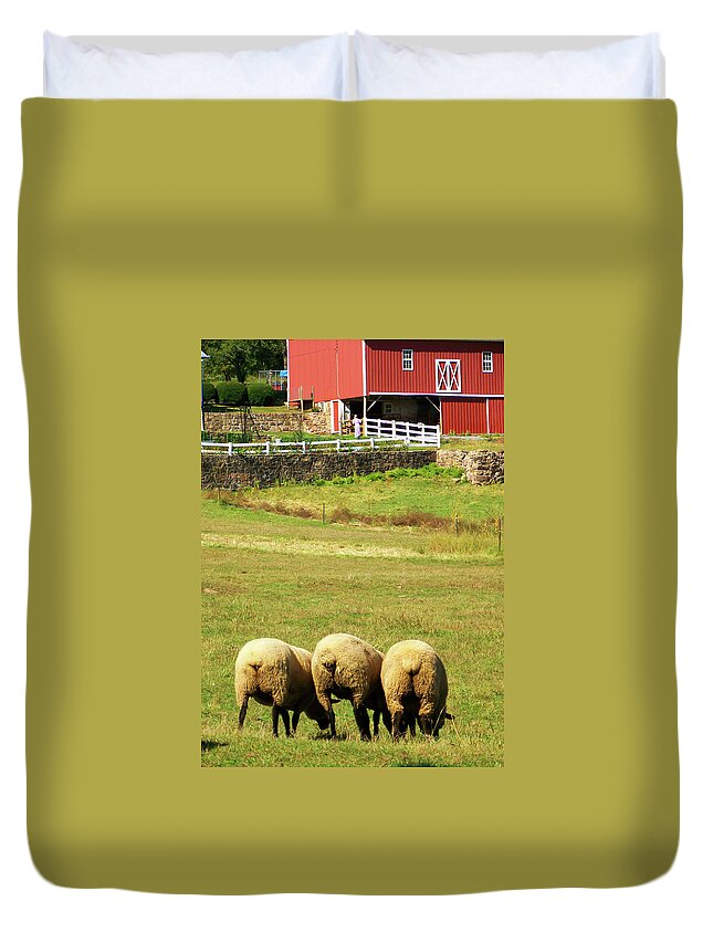 Sheep Duvet Cover featuring the photograph Wooly Bully by Trish Tritz