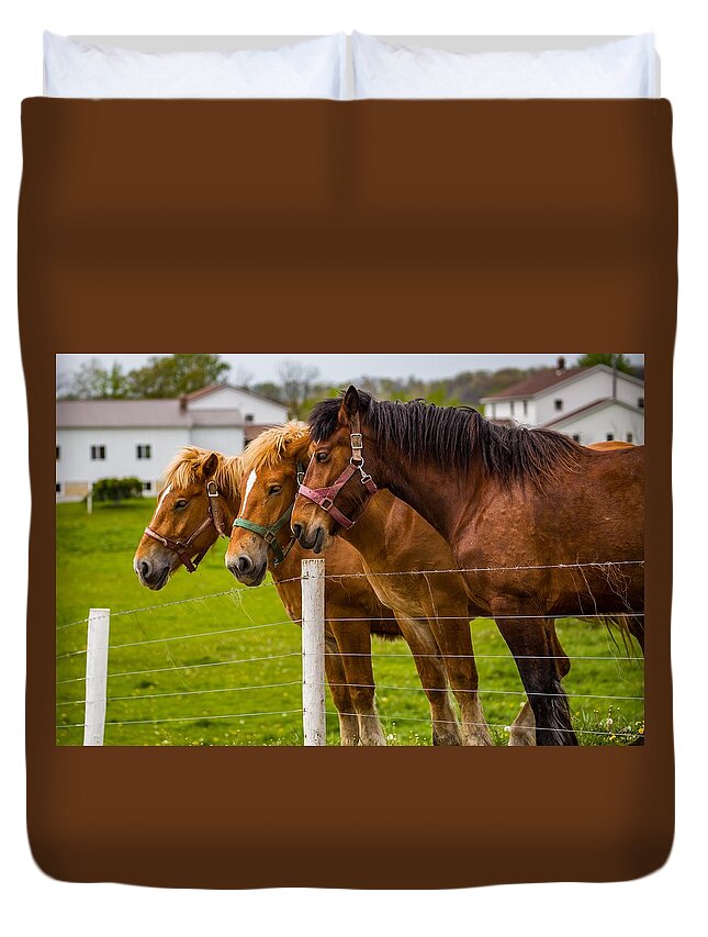 Horses Duvet Cover featuring the photograph Workhorse Trio by Kevin Craft