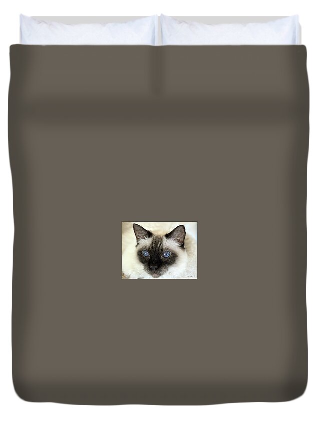 Siamese Duvet Cover featuring the photograph Wynter by Diane Giurco