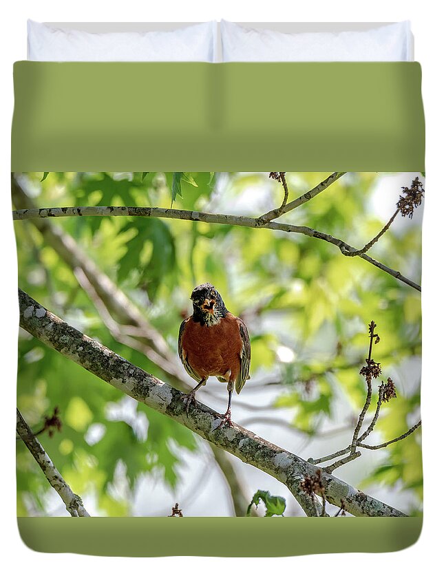  Duvet Cover featuring the photograph Yelling Robin by Joseph Caban
