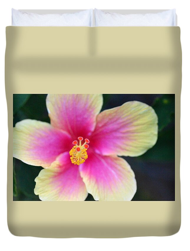 Flower Duvet Cover featuring the photograph Yellow and Pink Hibiscus 2 by Amy Fose