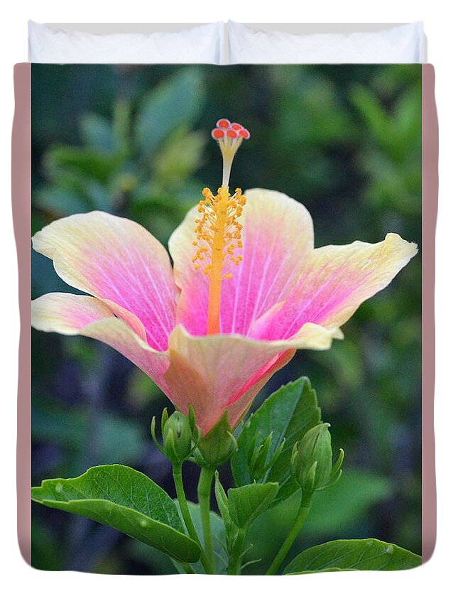 Flower Duvet Cover featuring the photograph Yellow and Pink Hibiscus Reach by Amy Fose