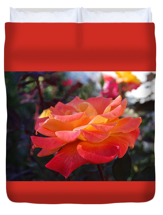 Closeup Duvet Cover featuring the photograph Yellow and Pink Rose by Sandra Lee Scott