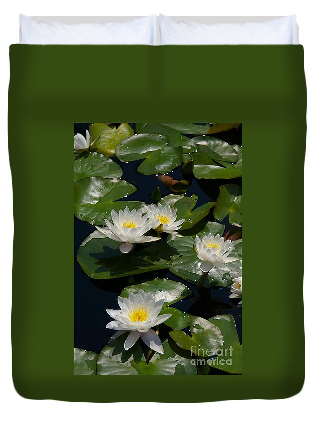 Several Duvet Cover featuring the photograph Yellow and White Lotus Waterlilies by Jackie Irwin