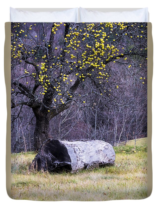 Sunset Lake Road West Brattleboro Vermont Duvet Cover featuring the photograph Yellow Apples by Tom Singleton