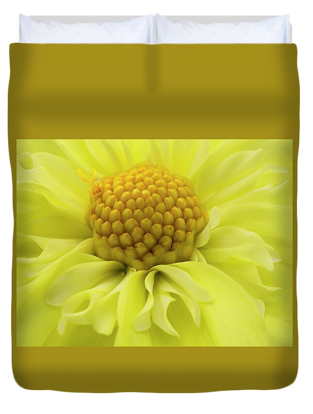 Dahlia Duvet Cover featuring the photograph Yellow beauty by Inge Riis McDonald