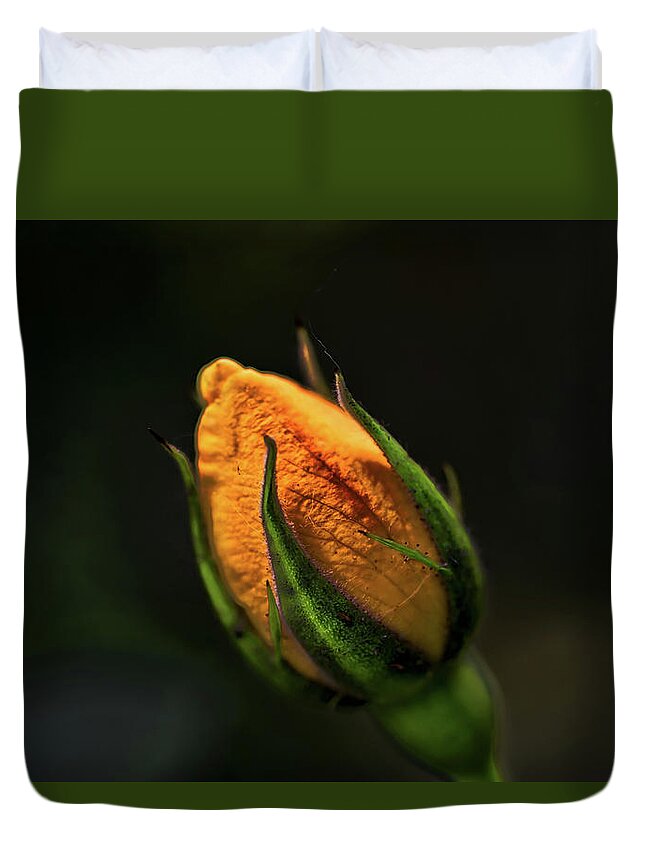 Yellow Duvet Cover featuring the photograph Yellow Bud by Richard Gregurich