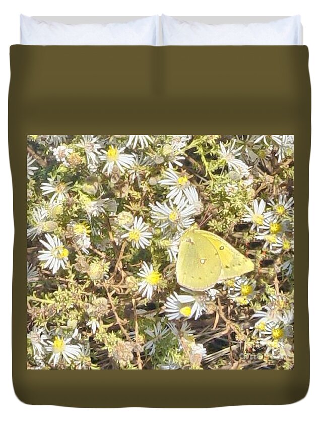 Yellow Duvet Cover featuring the photograph Pink Edged Sulphur Butterfly by Janette Boyd