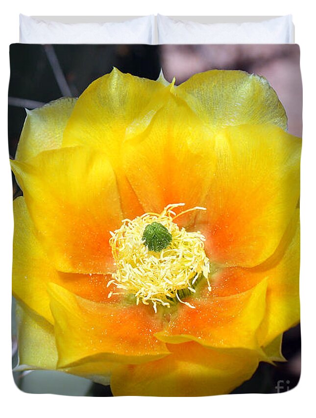 Yellow Flower Duvet Cover featuring the photograph Yellow Cactus Flower by Kelly Holm