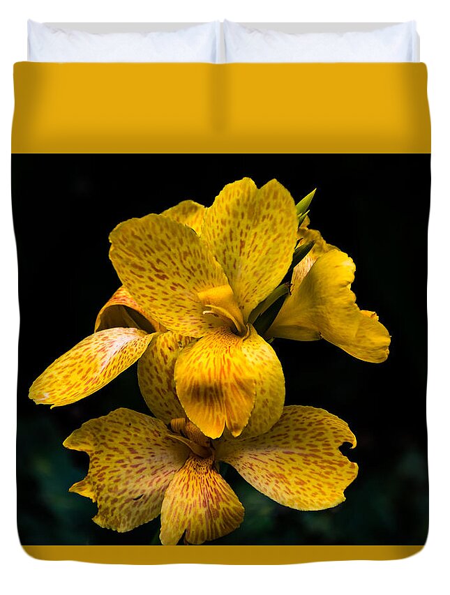 Jay Stockhaus Duvet Cover featuring the photograph Yellow Canna Lily by Jay Stockhaus