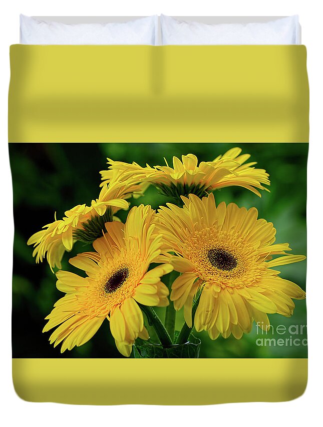 Yellow Gerbera Daisies Duvet Cover featuring the photograph Yellow Chrysanthemums by Kaye Menner by Kaye Menner