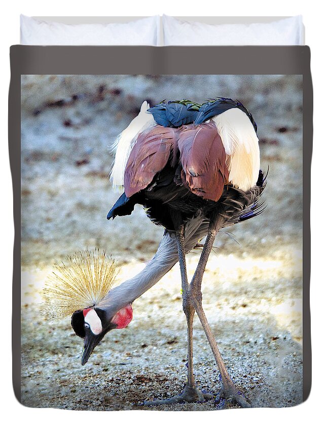 Bird Duvet Cover featuring the photograph Yellow Crowned Crane Profile Standing by William Bitman