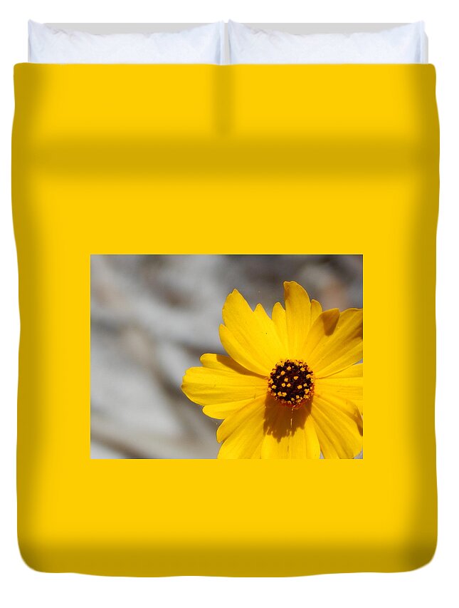 Daisy Duvet Cover featuring the photograph Yellow Daisy 1 by Melissa Gallant