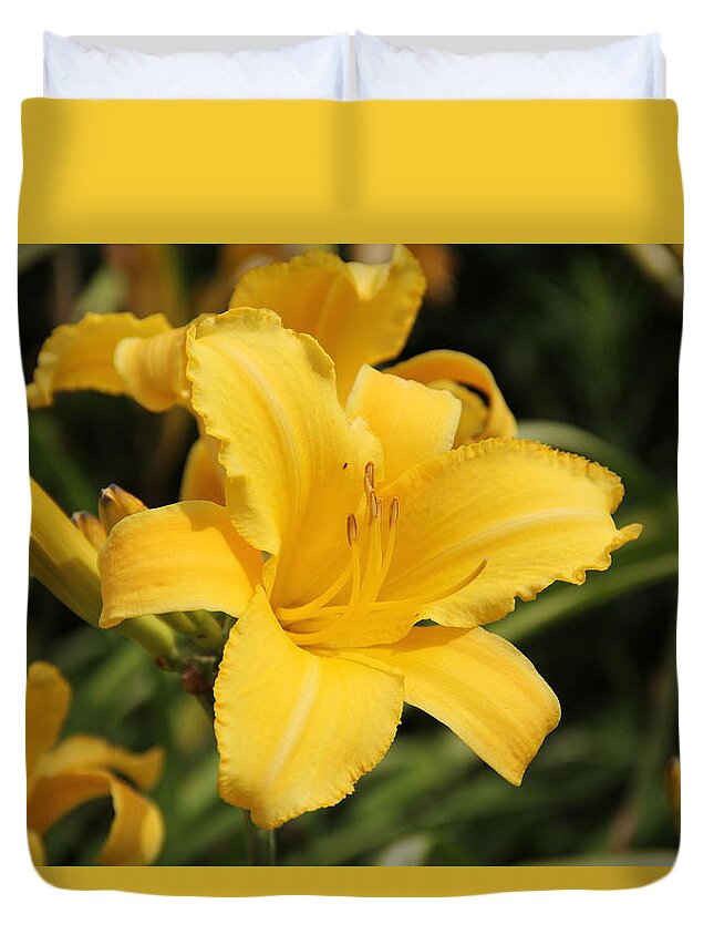 Lily Duvet Cover featuring the photograph Yellow Daylily by Allen Nice-Webb