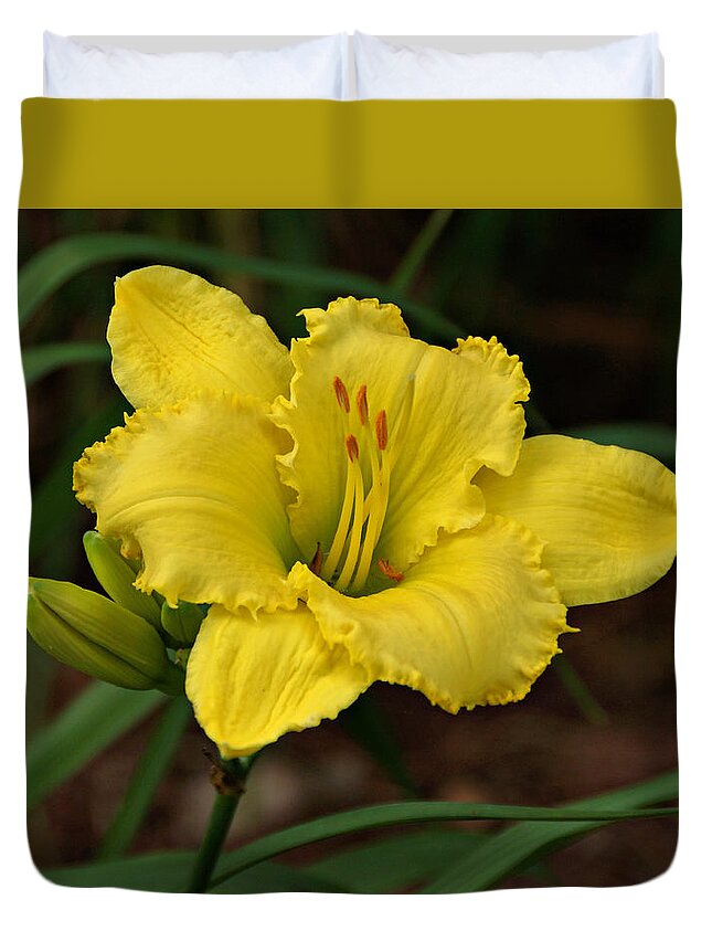 Daylilies Duvet Cover featuring the photograph Yellow Daylily by Sandy Keeton
