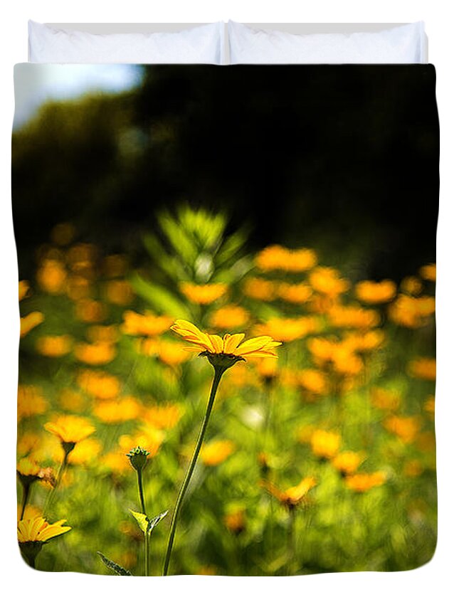 Coreopsis Duvet Cover featuring the photograph Yellow Field by Milena Ilieva