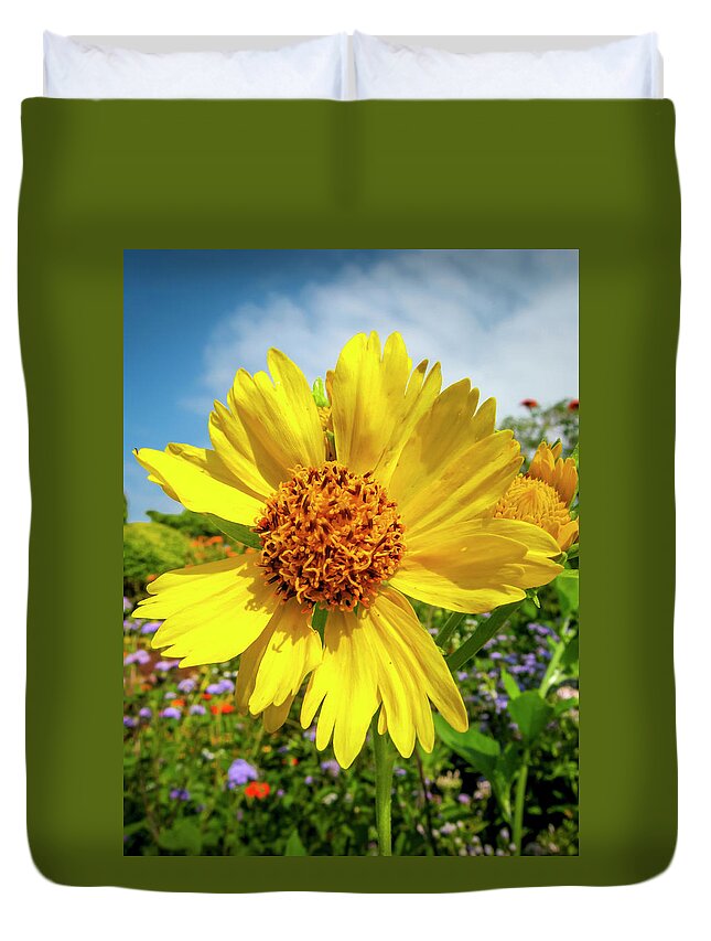 Flowers Duvet Cover featuring the photograph Yellow Flower by Daniel Murphy