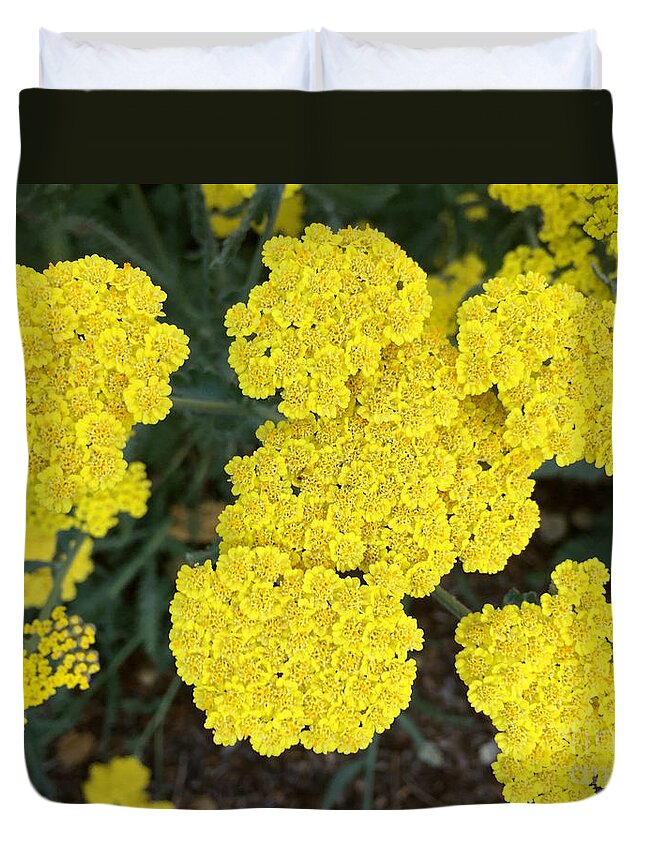 Nature Duvet Cover featuring the photograph Yellow flowers by Wonju Hulse