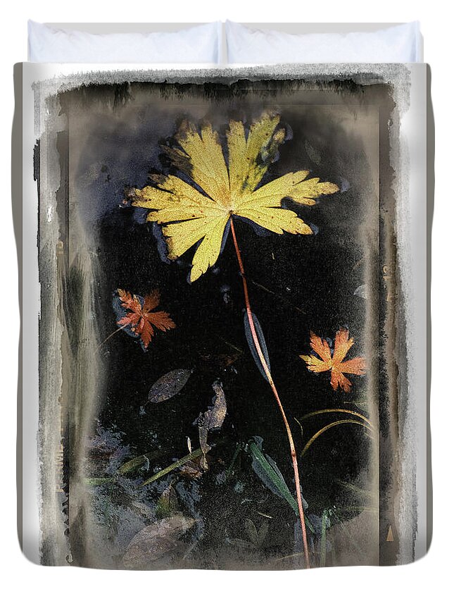 Landscape Duvet Cover featuring the photograph Yellow Leaf by Craig J Satterlee
