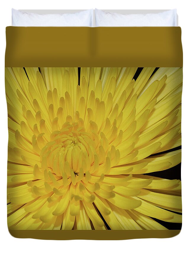 Photograph Duvet Cover featuring the photograph Yellow Mum by Larah McElroy