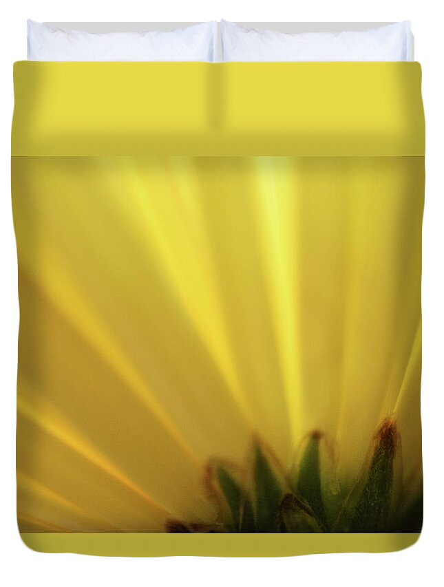 Photograph Duvet Cover featuring the photograph Yellow Mum Petals #16 by Larah McElroy