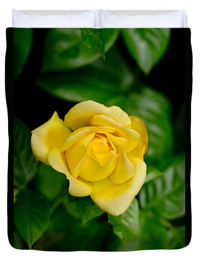 Rose Duvet Cover featuring the photograph Yellow on green. by Elena Perelman