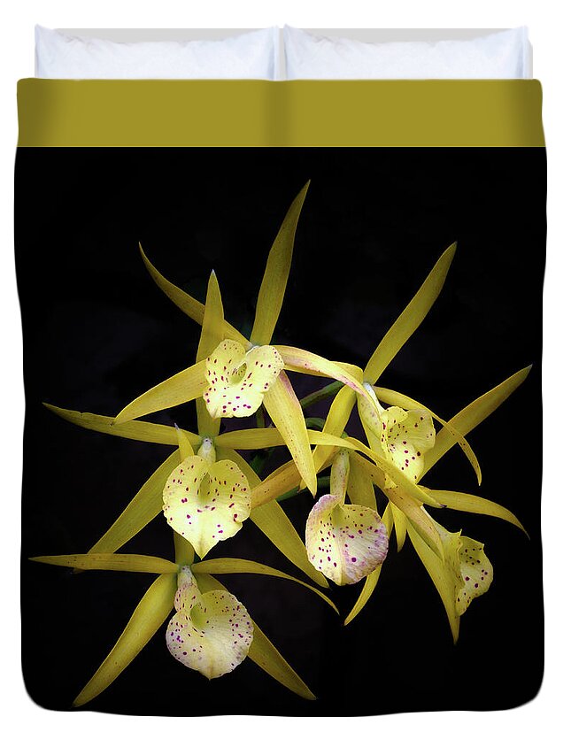 Yellow; Orchids Duvet Cover featuring the photograph Glowing Orchids by Georgette Grossman