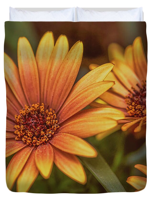 Aster Duvet Cover featuring the photograph Yellow petals #g3 by Leif Sohlman