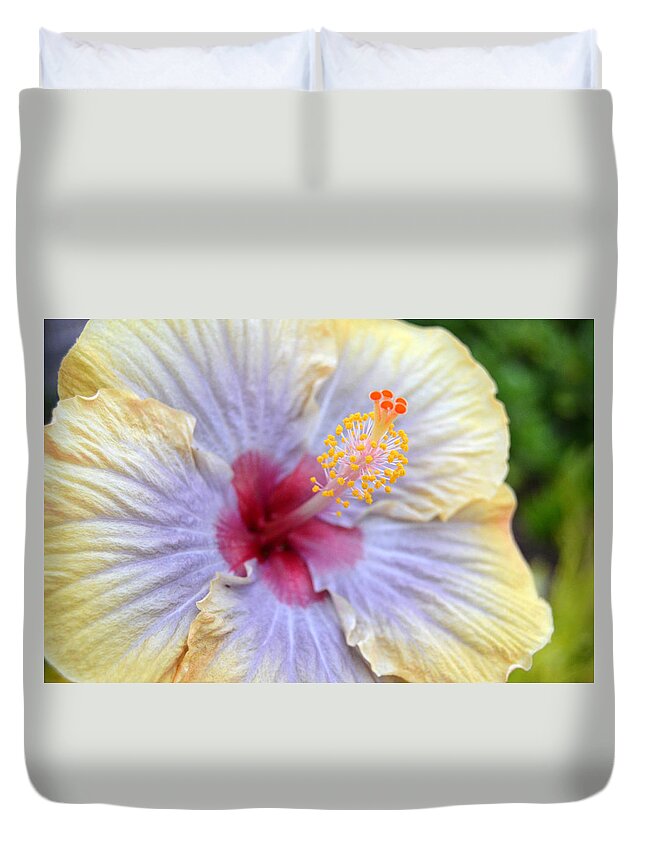 Flower Duvet Cover featuring the photograph Yellow Purple Hibiscus 1 by Amy Fose
