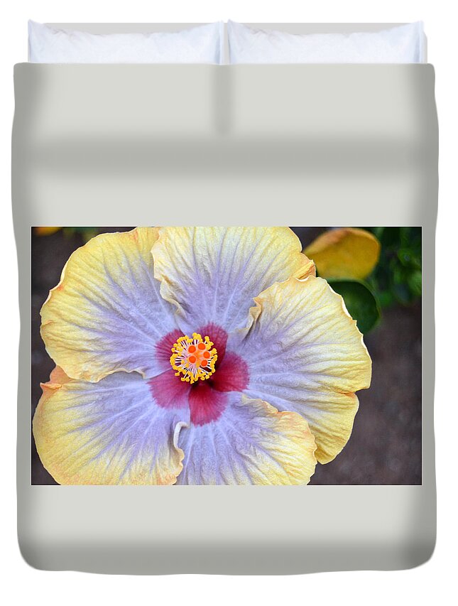 Flower Duvet Cover featuring the photograph Yellow Purple Hibiscus 3 by Amy Fose
