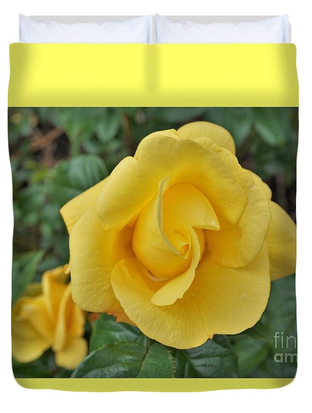 Rose Duvet Cover featuring the photograph Yellow rose by Merle Grenz