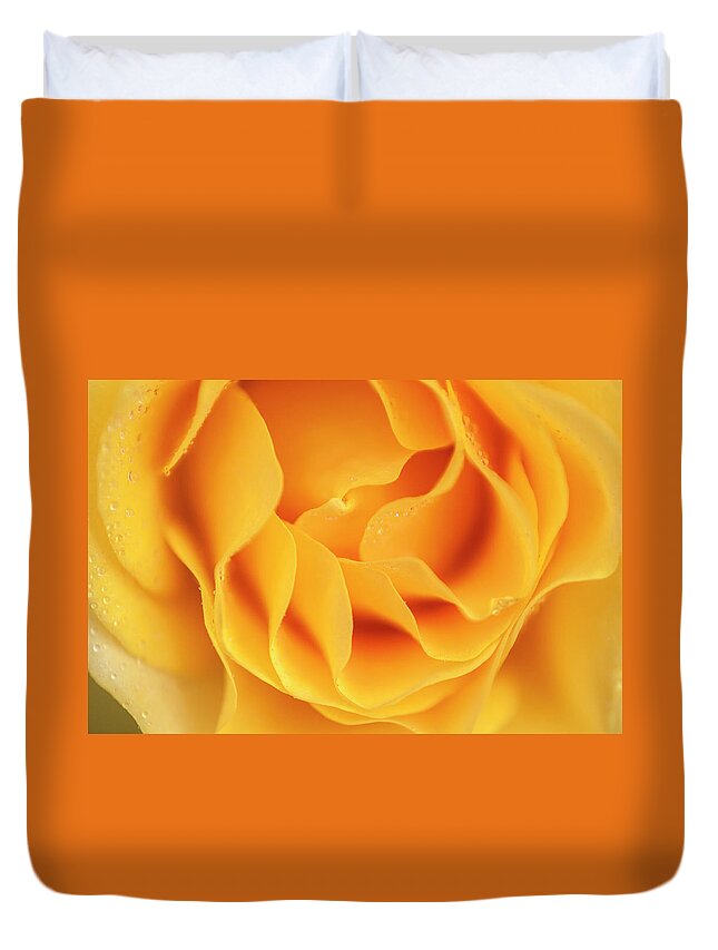 Flower Duvet Cover featuring the photograph Yellow rose of Texas by Usha Peddamatham