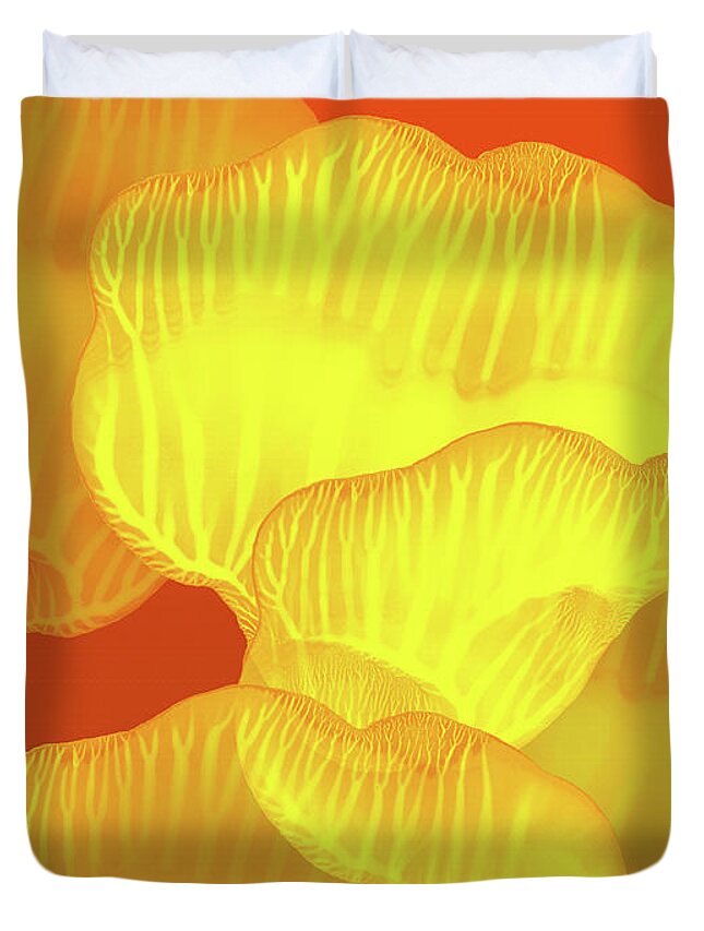 Abstract Duvet Cover featuring the painting Yellow Rose Petals Falling in the Garden by Amy Vangsgard
