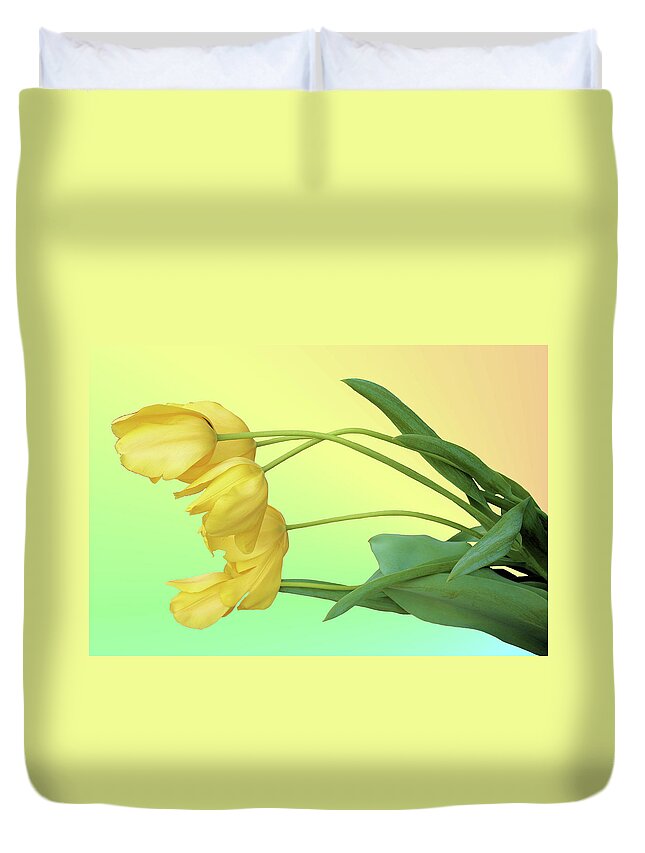 Tulip Duvet Cover featuring the photograph Yellow Tulip Pastel by Kristin Elmquist