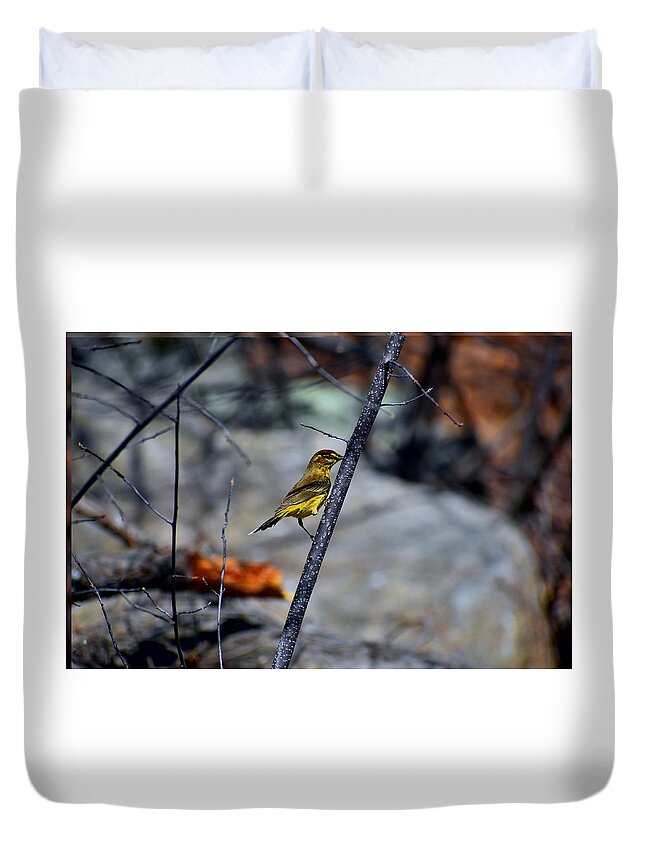 Yellow Duvet Cover featuring the photograph Yellow Warbler 2 by Nina Kindred