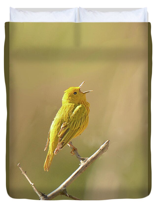 Bird Duvet Cover featuring the photograph Yellow Warbler Song by Alan Lenk