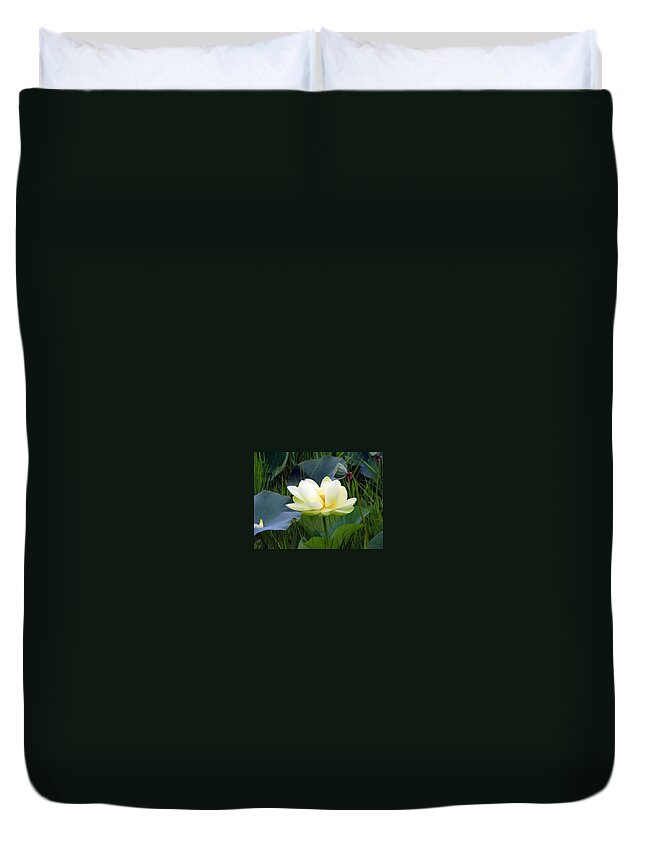 Water Duvet Cover featuring the photograph Yellow Water Lily by Farol Tomson