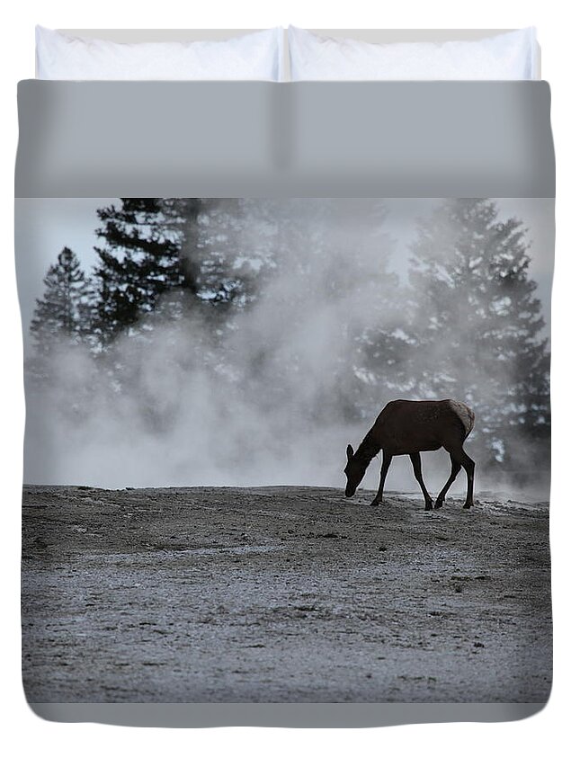 Yellowstone National Park Duvet Cover featuring the photograph Yellowstone 5456 by Michael Fryd