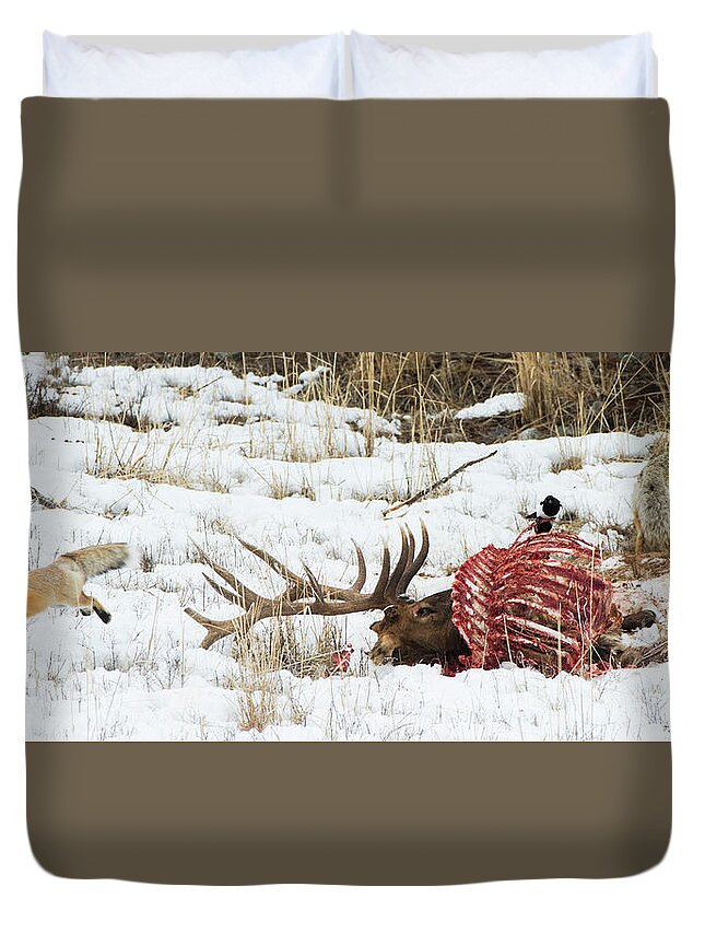 Winter Duvet Cover featuring the photograph Yellowstone World by Bill Cubitt