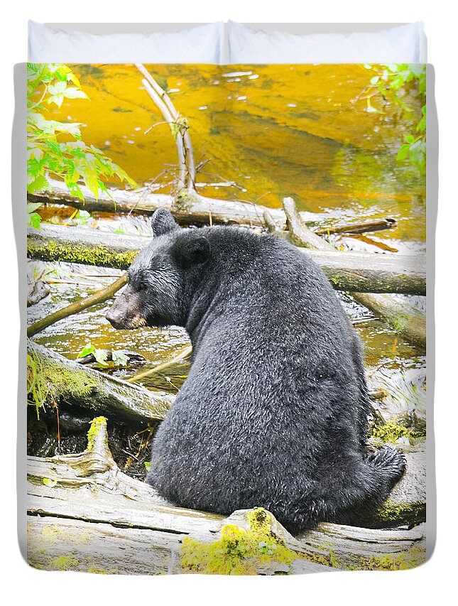 Wildlife. Black Bear Duvet Cover featuring the photograph Yes They Do by Harold Piskiel