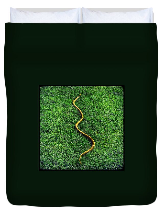 Snake In The Grass Duvet Cover featuring the photograph Snake in the Grass by Noah Kaufman